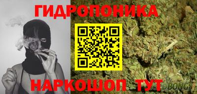 прущие грибы Краснознаменск