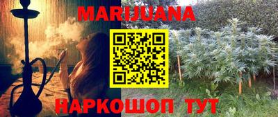 прущие грибы Краснознаменск
