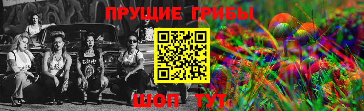 Галлюциногенные грибы GOLDEN TEACHER  Вход с VPN  Карталы 