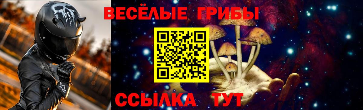 Псилоцибиновые грибы Magic Shrooms Карталы